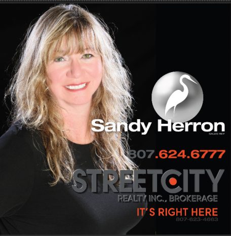 Sandy Herron Streetcity Realty Inc. Brokerage