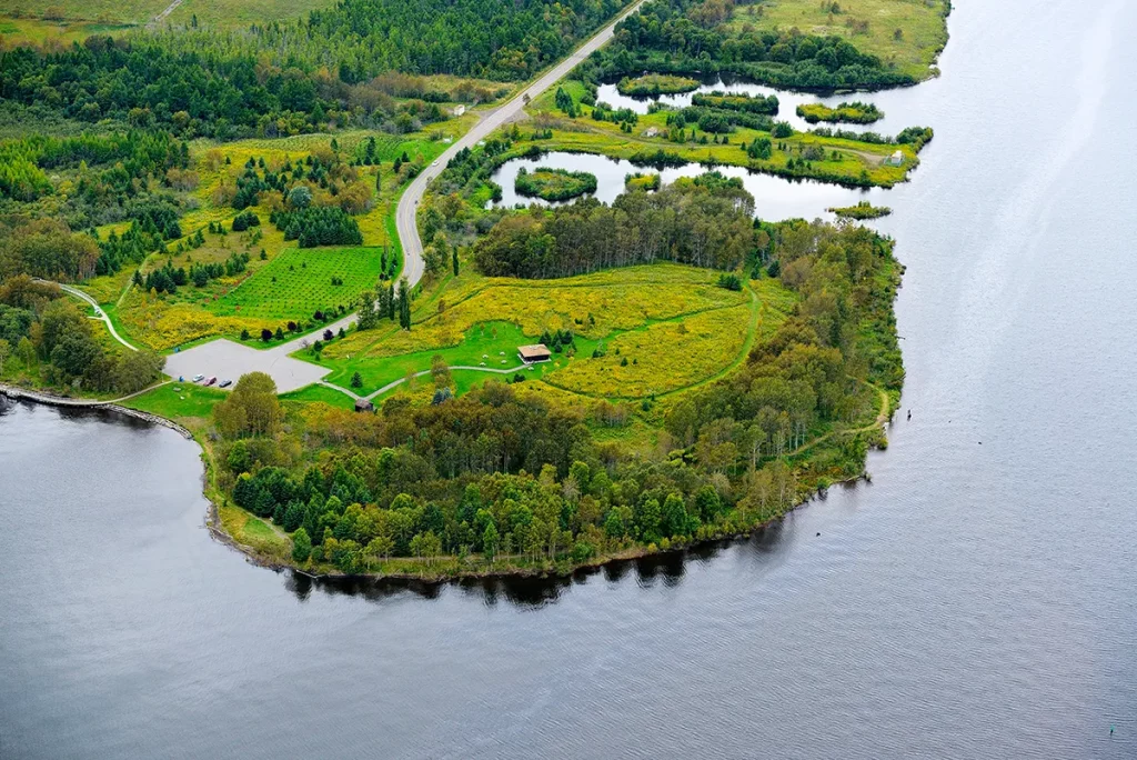 Mission Island Marsh
