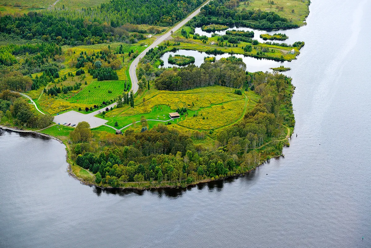 Mission Island Marsh
