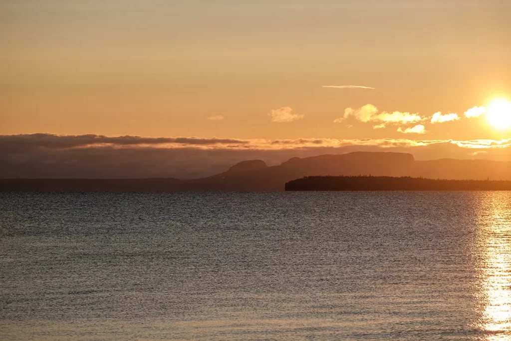 Mission Island Marsh