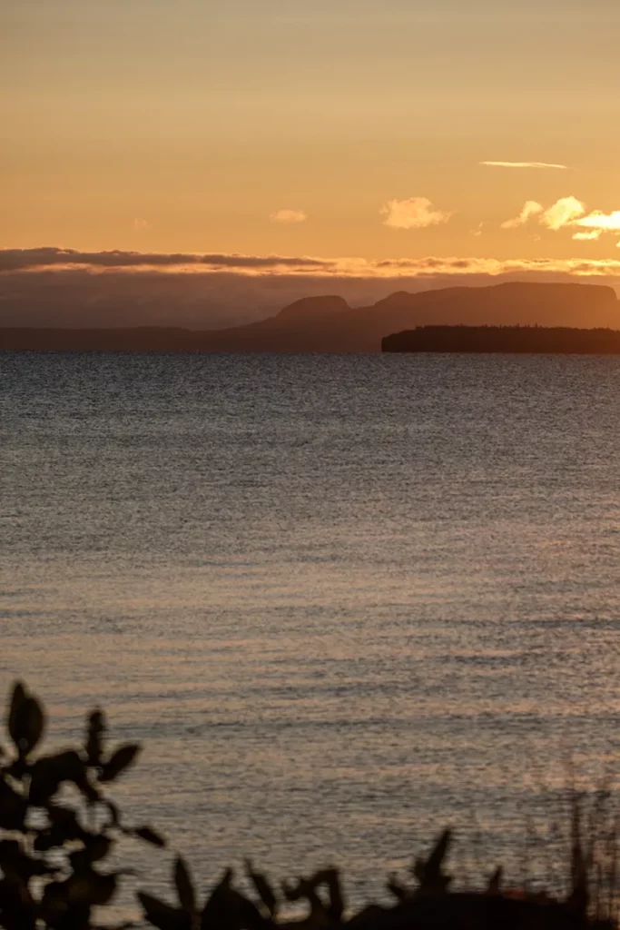 Mission Island Marsh