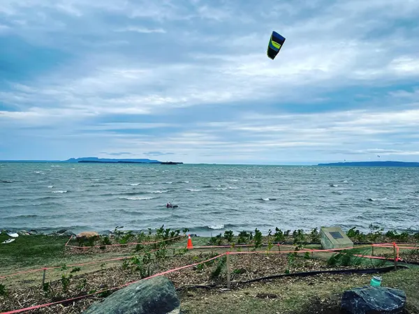 Mission Island Marsh Conservation Area Shoreline Rehabilitation
