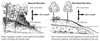Shoreline diagram