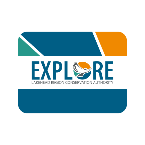 Explore Card