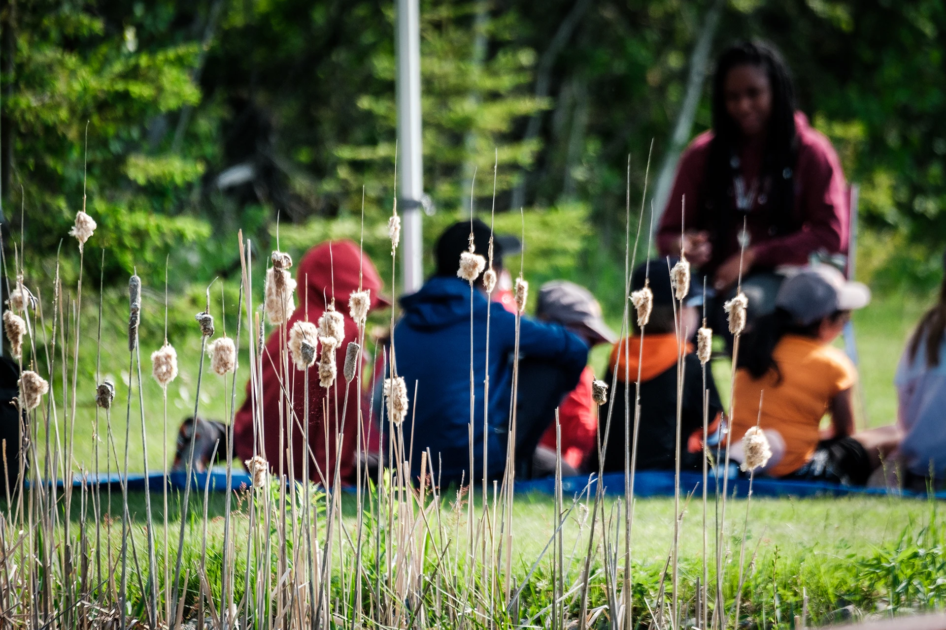 teachers and schools