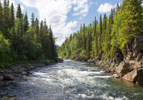 Water Stream