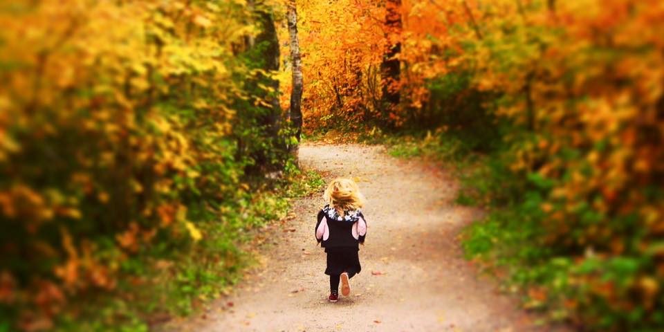 12246966_10153579698755342_1701017257251976223_n