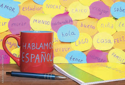 Spanish for Travellers