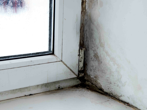 mold in the corner of the window